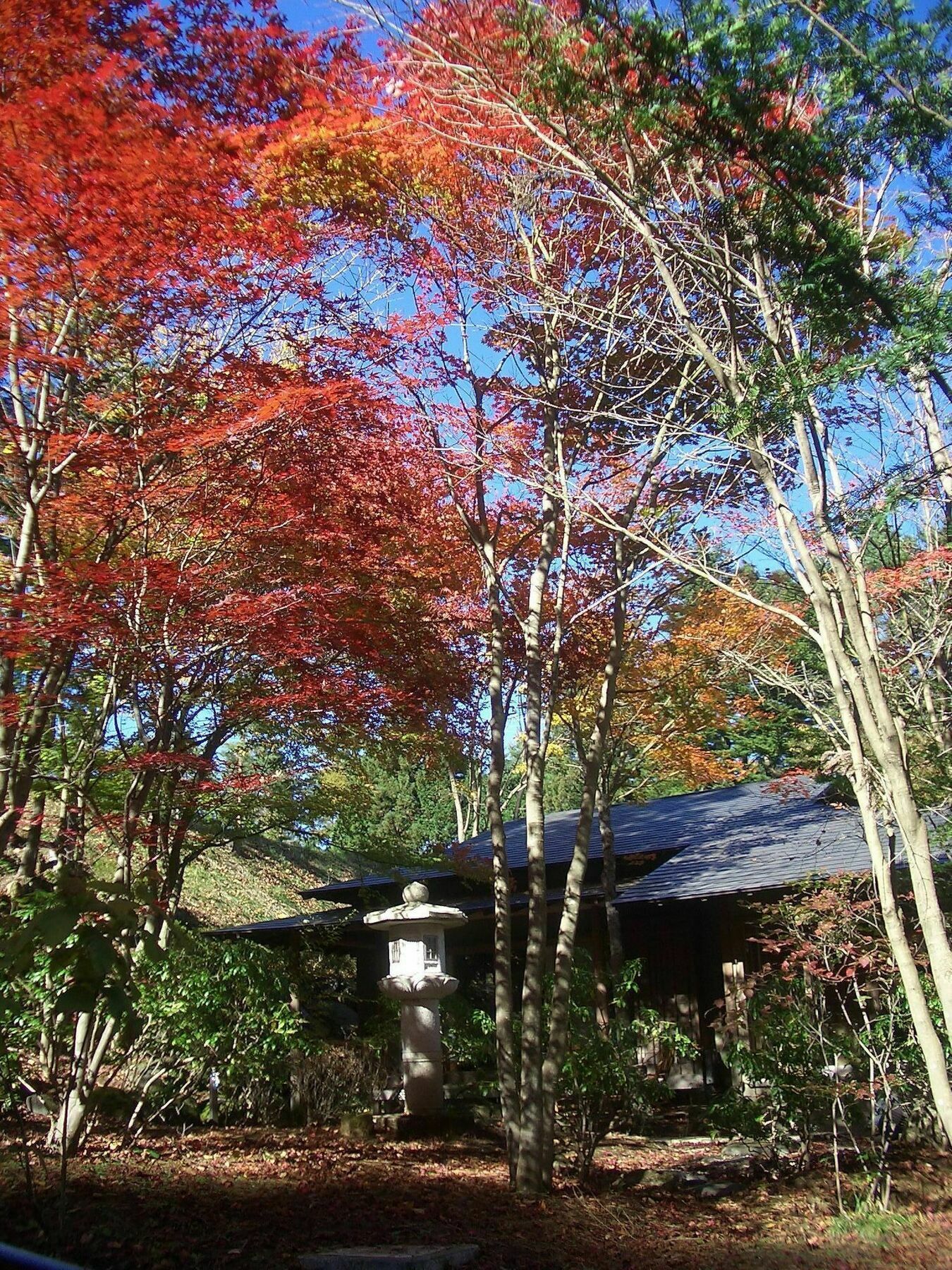 Shikitei Fujiyoshida Exterior foto